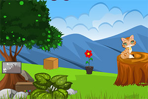 寻找我的车钥匙