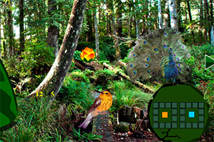 逃离金孔雀森林