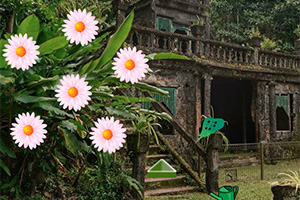 逃离被遗忘的花园