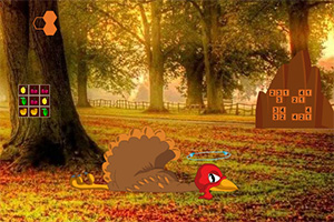 救援昏迷的火鸡