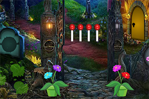 救援受困的海龟