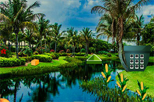 救援玉米村的姑娘