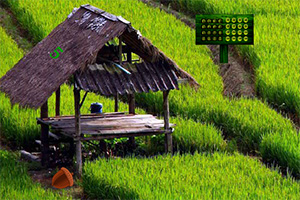 逃离拖拉机故障现场