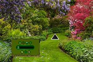 受困在花园的女孩