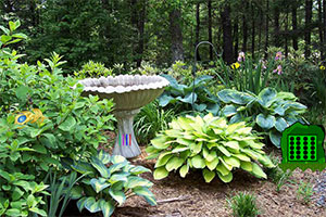 可爱小蜜蜂大营救