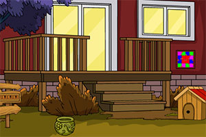 可爱的鸵鸟营救