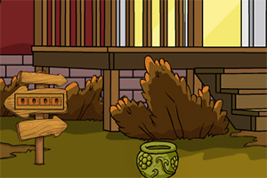 救援可爱的鸵鸟