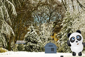 救援困在雪里的熊猫