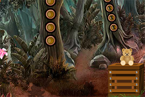 逃离异国情调的房子