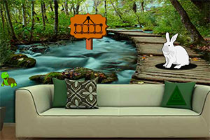 寻找幸运的海螺