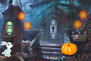 救援过生日的兔子