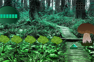 救援受伤的小鹿