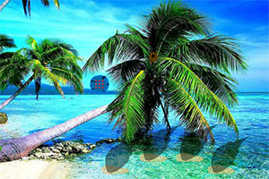 逃离爱情珍珠岛