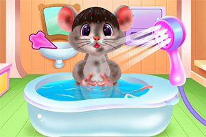 可爱的老鼠关怀和换装