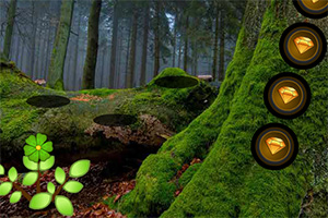 救援有趣的小兔