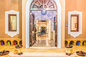 救援狡猾的间谍8