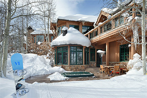 救援狡猾的间谍4