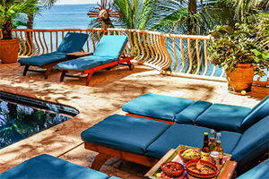 救援狡猾的间谍3