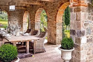 救援狡猾的间谍6