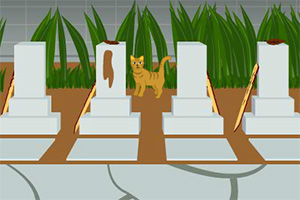 救援皮特先生71