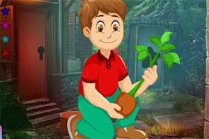 救援植物爱好者