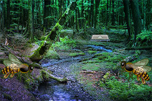 逃离大黄蜂森林