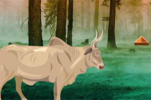 逃离森林火灾现场