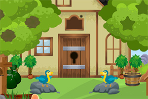 救援敏捷的章鱼