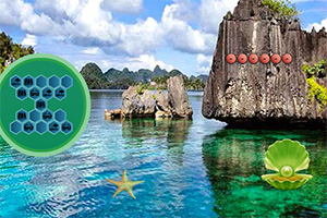 救援科莫多巨蜥