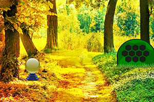 拯救受伤长颈鹿