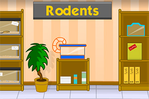 逃离上锁的宠物店