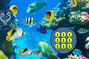 拯救被困的鲨鱼