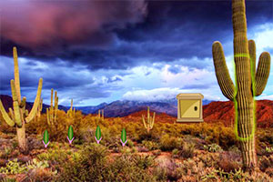 沙漠森林大逃脱