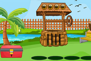 可爱的鹦鹉大逃脱