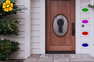 困在房间的小狗