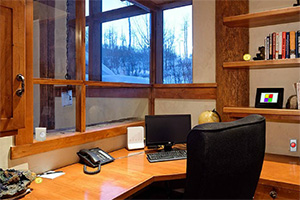 救援狡猾的间谍7