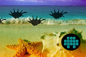 寻找粉红色珍珠