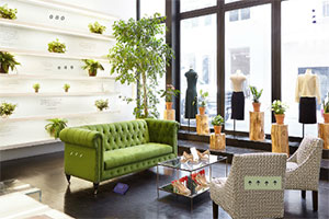 逃出奢华的房子