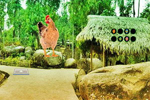 救援受困的母鸡