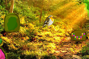 逃离魔鬼果森林