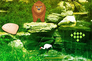 野生动物园逃离