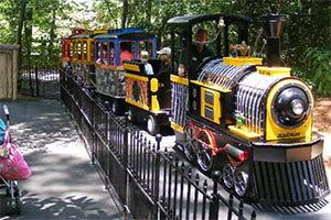 神奇的动物园逃脱