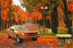 逃离秋季城市公园