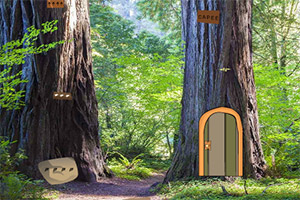 逃离山毛榉树林