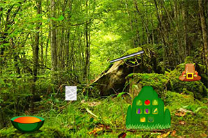 感恩节火鸡逃窜