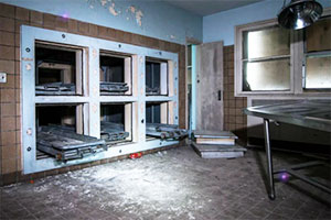 逃离遗弃的避难所