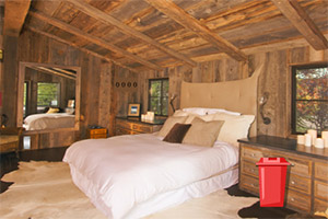 逃离幽静小树屋