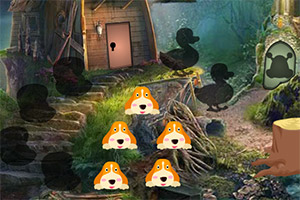 救援开心的鳄鱼