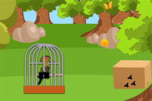 救援可怜的啄木鸟