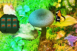 筹备感恩节派对